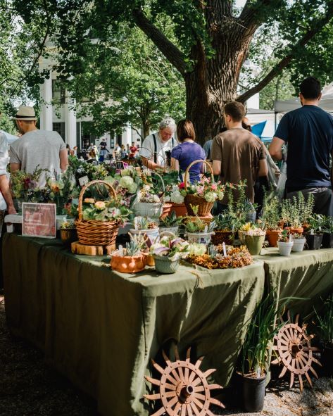 summer food market